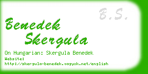 benedek skergula business card